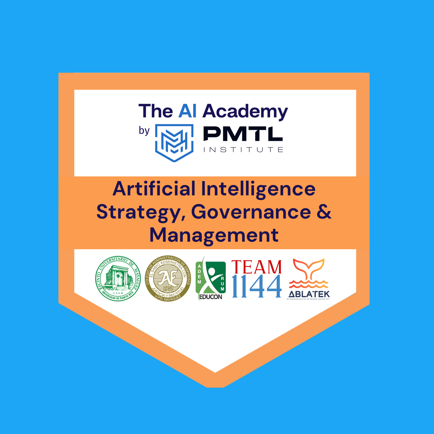 Curso individual en Artificial Intelligence Strategy, Governance & Management