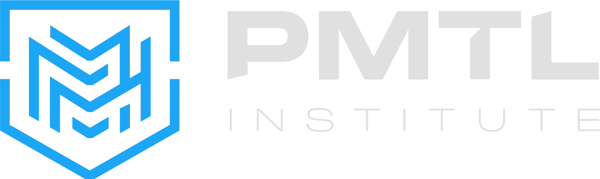 The AI Academy by PMTL Institute®