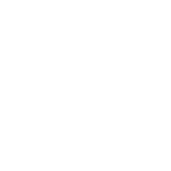 Project Management & Transformational Leadership Institute